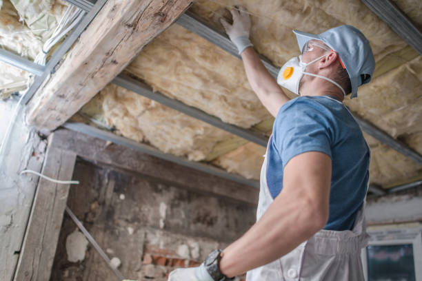 Best Home Insulation Services  in Imperial, PA