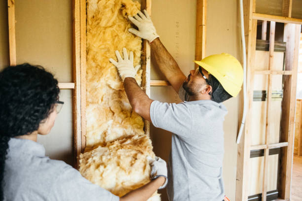 Best Insulation Replacement Services  in Imperial, PA